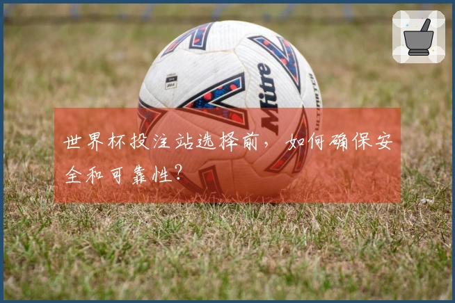 世界杯投注站选择前，如何确保安全和可靠性？
