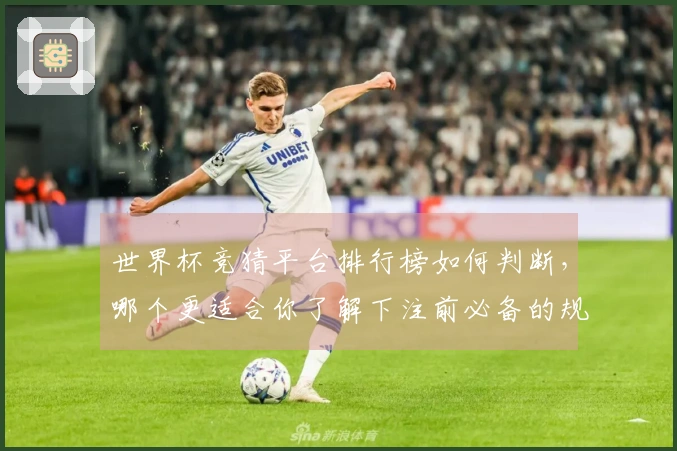 世界杯竞猜平台排行榜如何判断，哪个更适合你了解下注前必备的规则和技巧？
