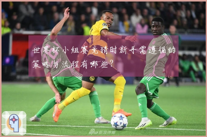 世界杯小组赛竞猜时新手需遵循的策略与流程有哪些？